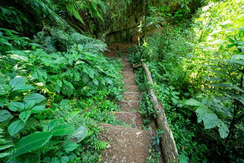 Paisajes junto a los Saltos del Moconá