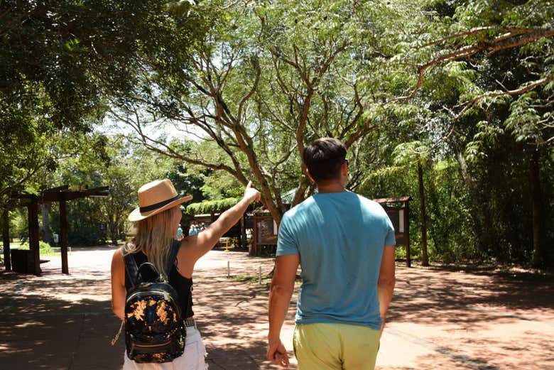 Paseando hacia las cascadas