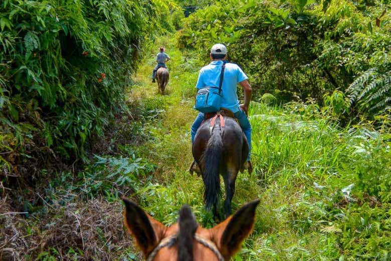 Balade à cheval