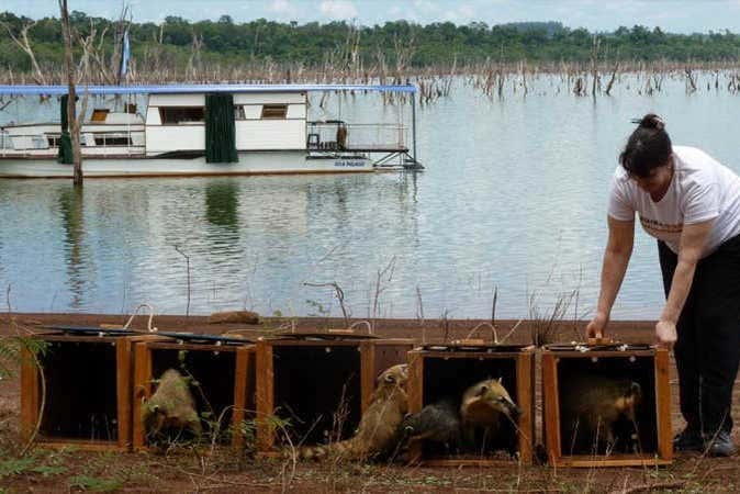 En Güirá Oga se vela por el cuidado de los animales
