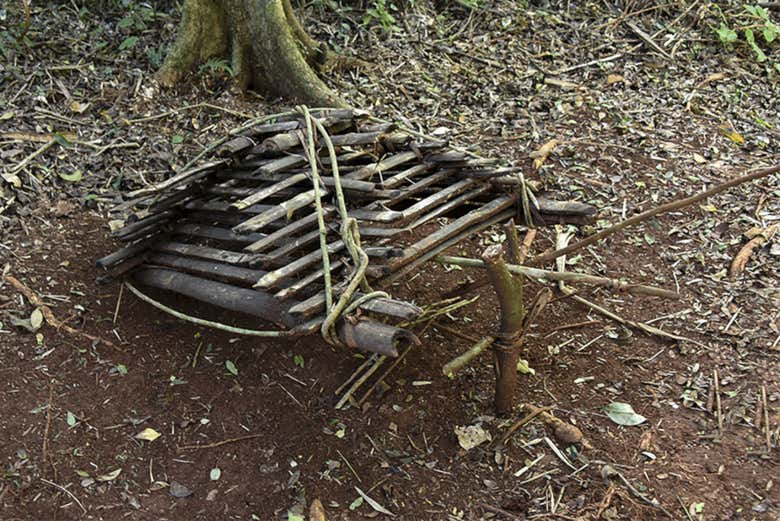 Piège aborigène