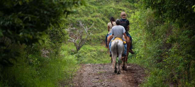 Paseo a caballo por la selva de Iguazú