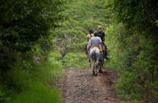 Passeio a cavalo pela selva de Iguazú
