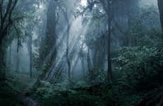 Iryapú Nature Reserve Nighttime Hike