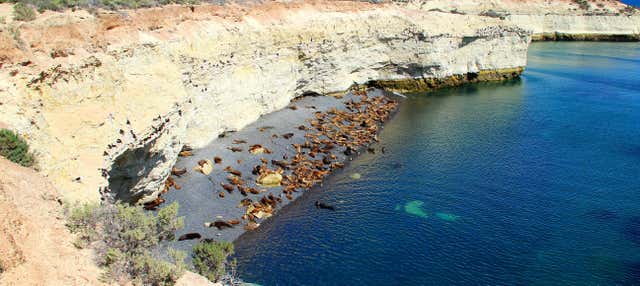 Avistamiento de lobos marinos en Punta Loma
