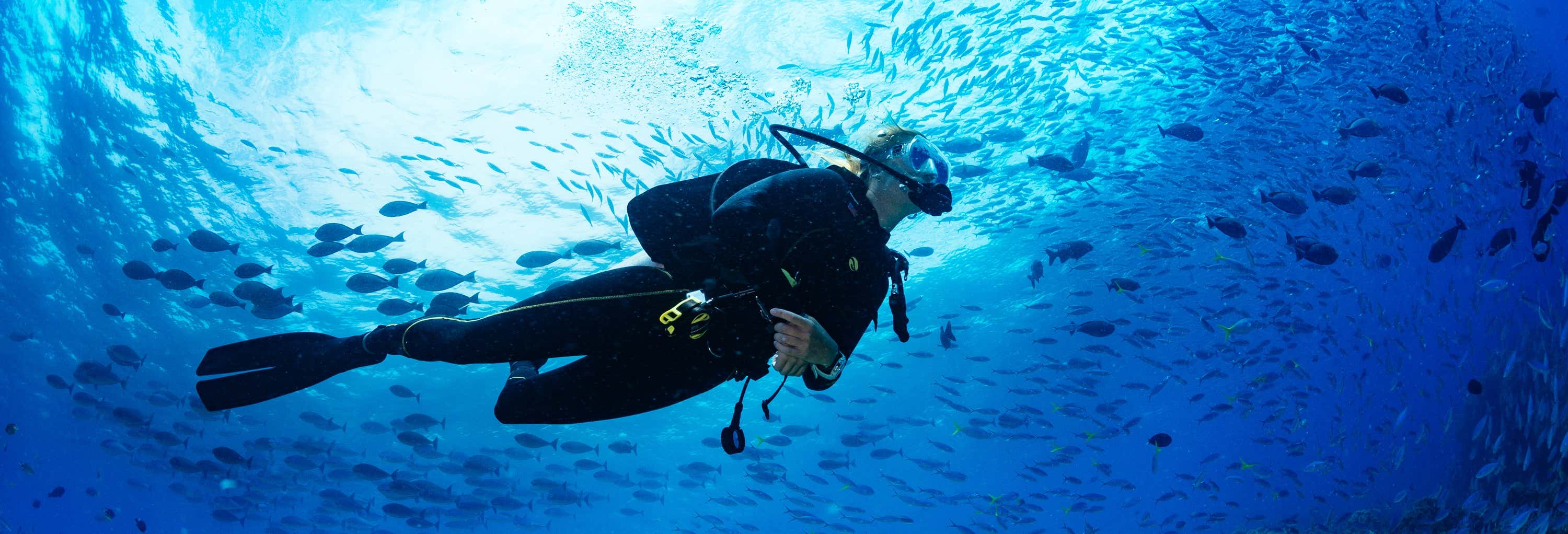 Mergulho em Puerto Madryn