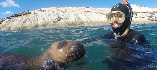 Bautismo de buceo y snorkel con lobos marinos en Punta Loma