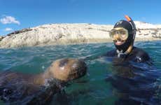 Bautismo de buceo y snorkel con lobos marinos en Punta Loma