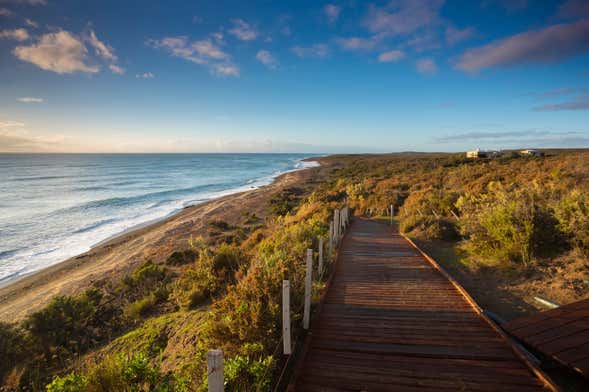 Excursão ao norte da Península Valdés