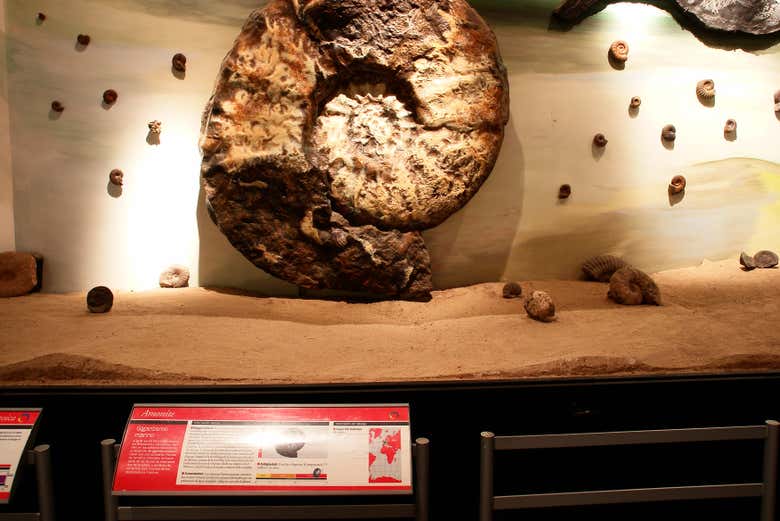 No dejéis de visitar el  Museo Paleontológico de Trelew