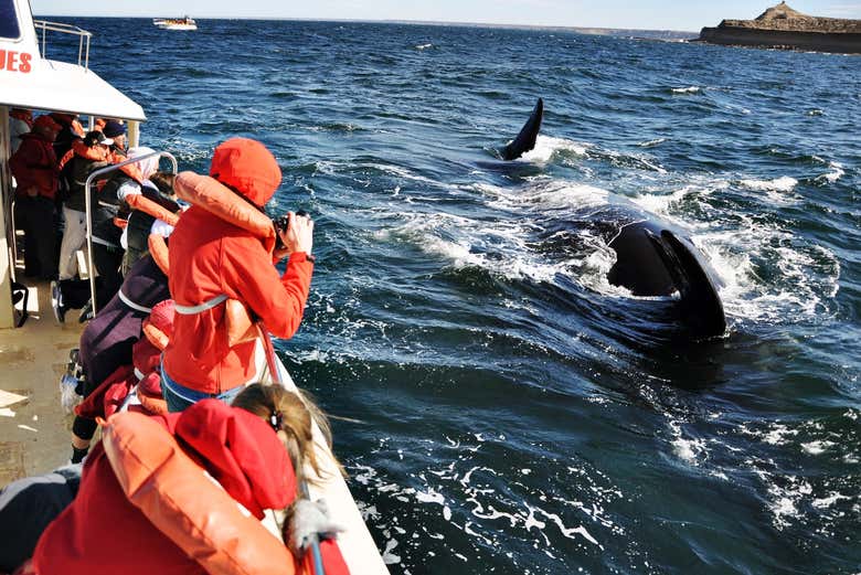 Immortalando le balene della Penisola di Valdés