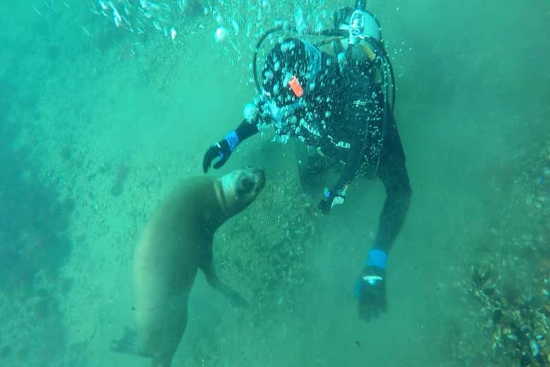 Enjoying the diving experience