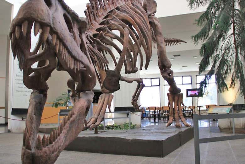 Un esqueleto de dinosaurio en Trelew