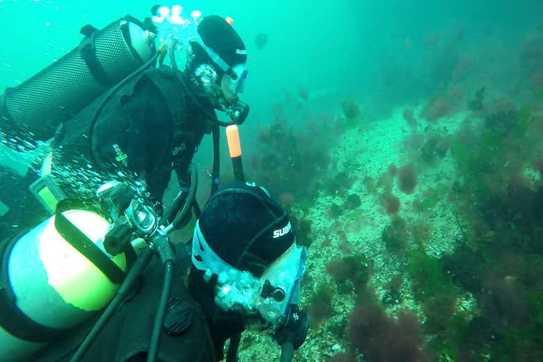 Mergulhando em Puerto Madryn