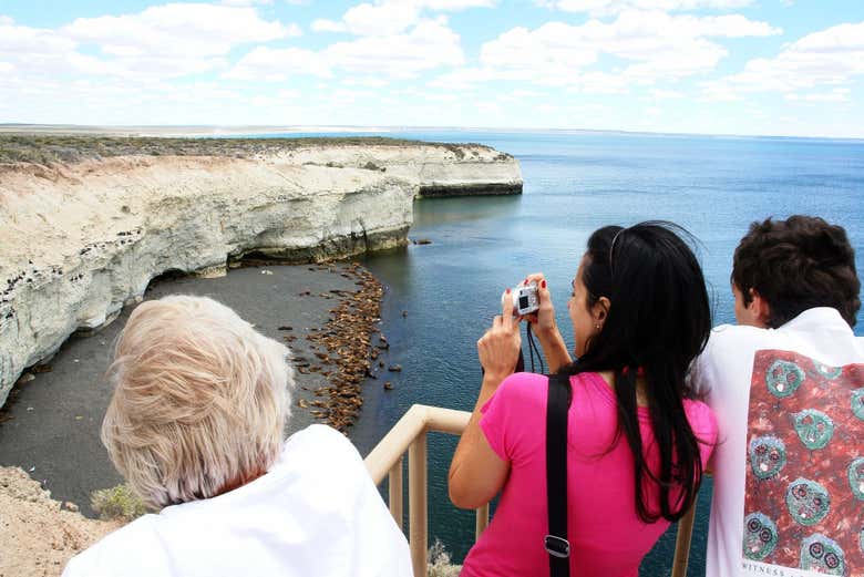 Photographing the sea lions of Punta Loma