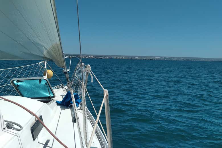 Navegando por la costa de Puerto Madryn