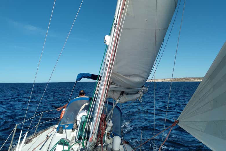 ¿Os apetece un paseo en velero por Puerto Madryn?
