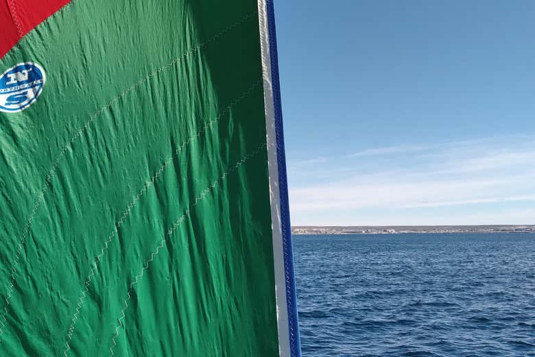 Navegando por Puerto Madryn