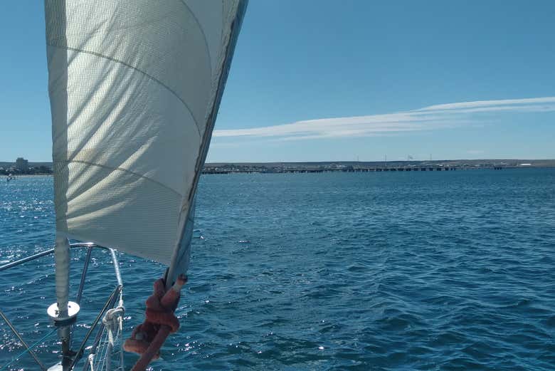 Disfrutando del paseo en velero