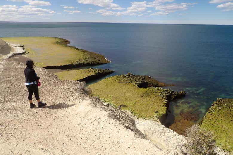 Puntos panorámicos de Punta Este