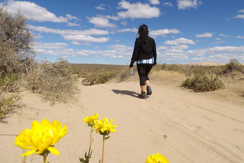 Caminamos por dunas