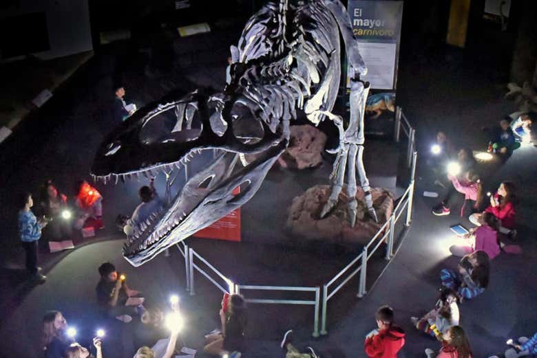 The Paleontological Museum in Trewlew