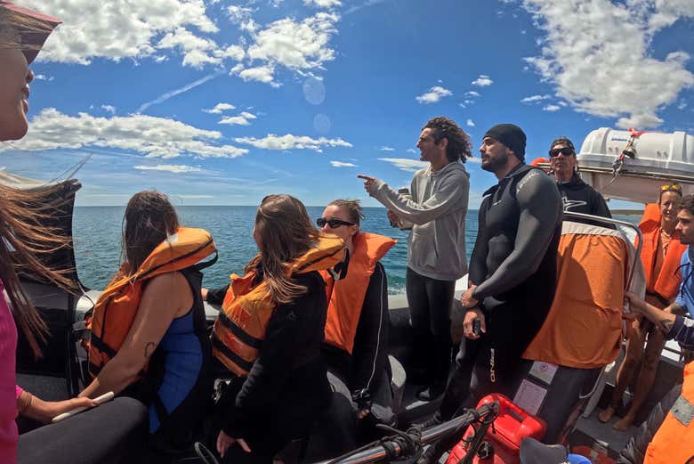 Fique atento ao mar para avistar os golfinhos