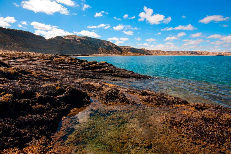 Valdes Peninsula