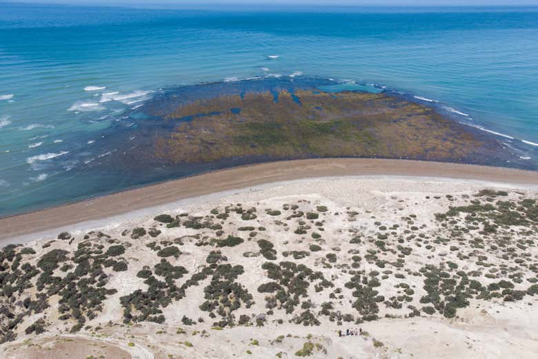 Veréis como la tierra se funde con el mar 