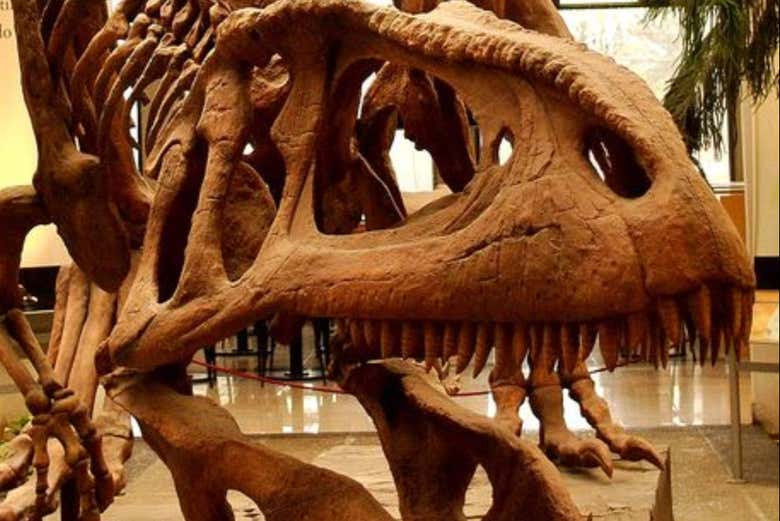 Sala de ingreso en el museo