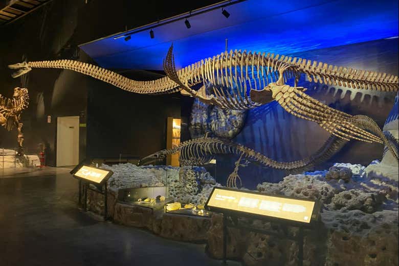 Una de las salas del Museo Paleontológico de Trelew