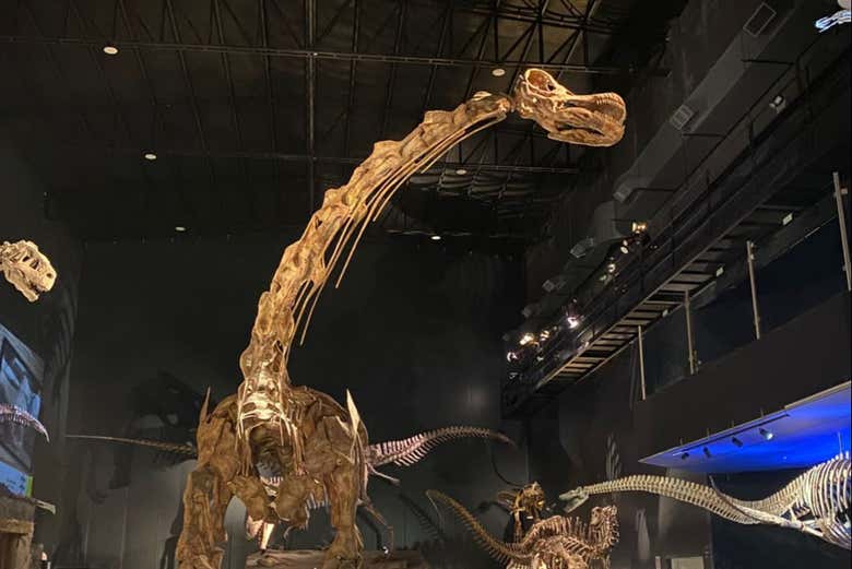Exposición del dinosaurio más grande del mundo