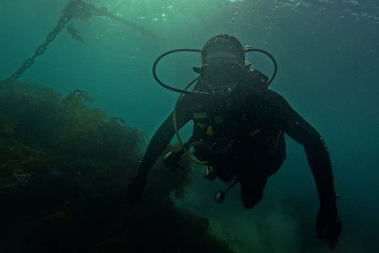 Explorando las profundidades del Golfo Nuevo