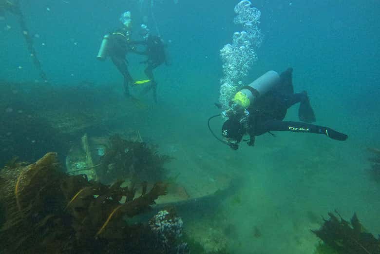 Descubriendo la vida marina de Punta Loma