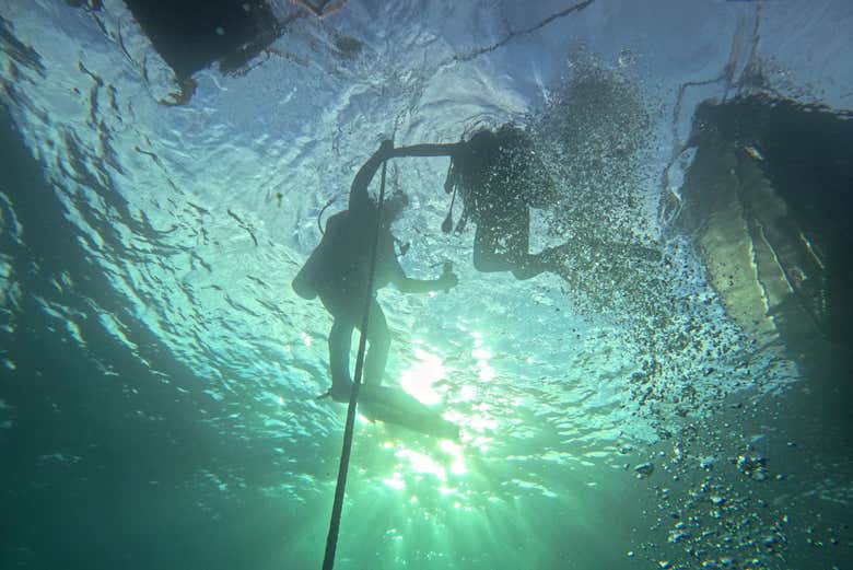 Durante el bautismo de buceo en Punta Loma