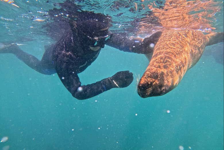 Una experiencia inolvidable en Punta Loma