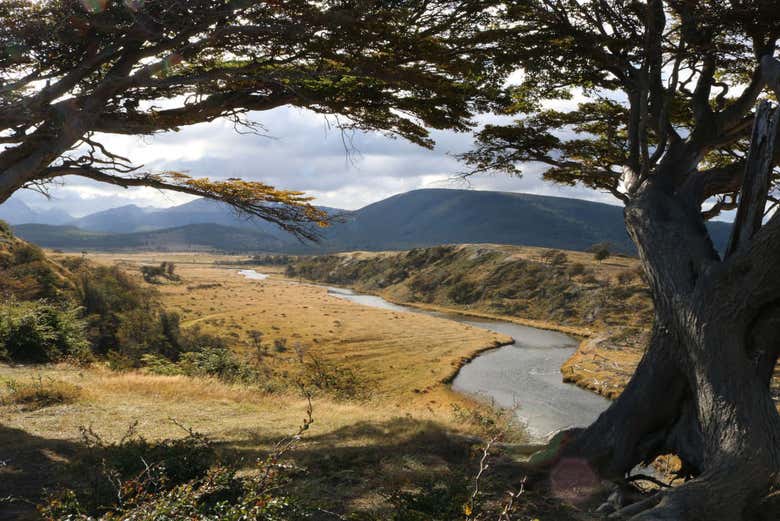 Tierra del Fuego National Park