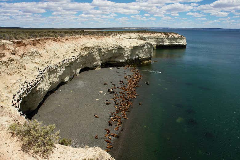 Panoramic view of Punta Loma sea lion colony