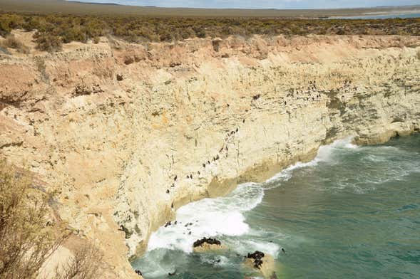 Snorkeling con i leoni marini a Punta Loma