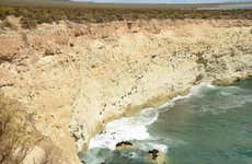 Snorkel con lobos marinos en Punta Loma