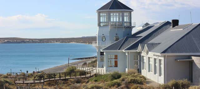Tour por Puerto Madryn para cruceros