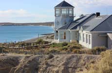 Tour por Puerto Madryn para cruceros