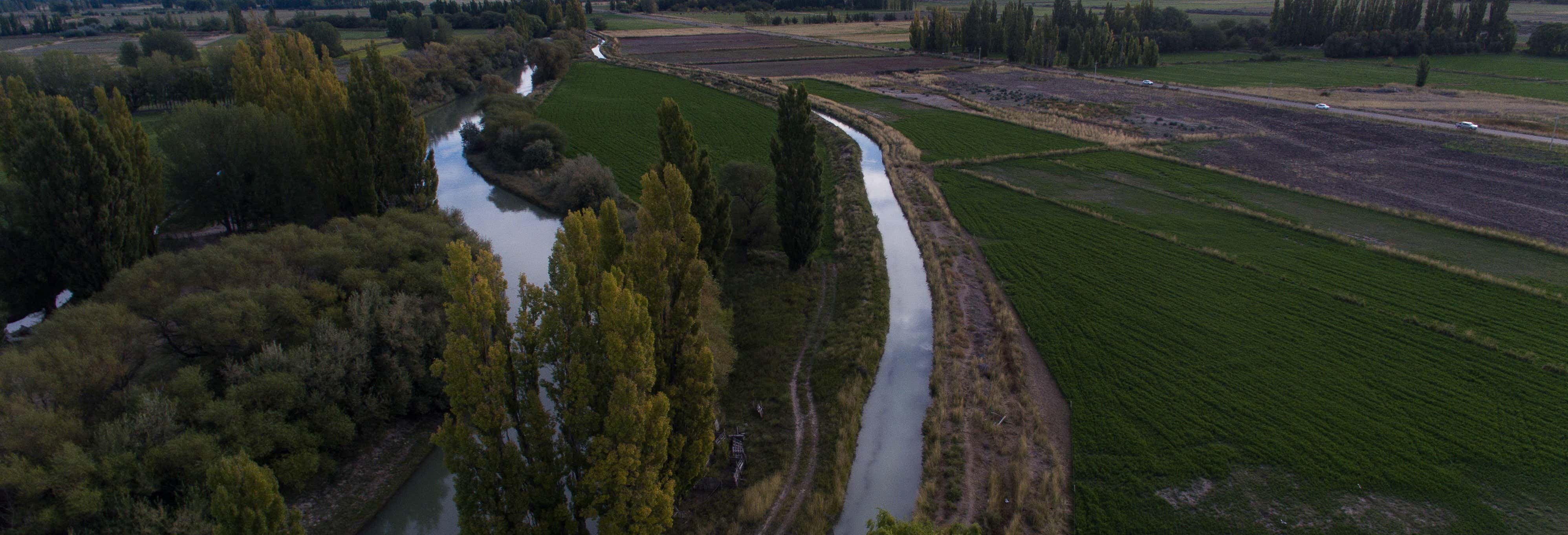Excursões de um dia em Puerto Madryn