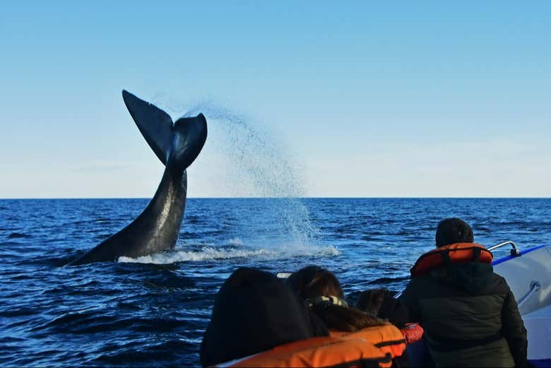 Uno spettacolo della natura