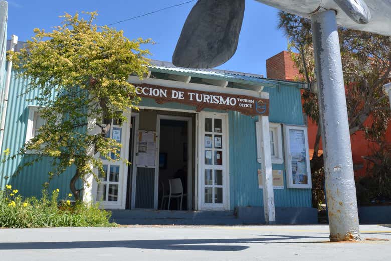 Conoceremos lo mejor de la localidad de Puerto Pirámides