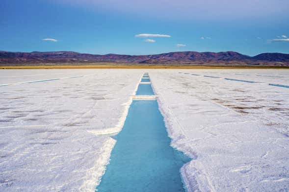 Excursión a las Salinas Grandes