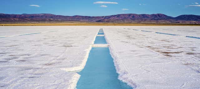 Excursión a las Salinas Grandes