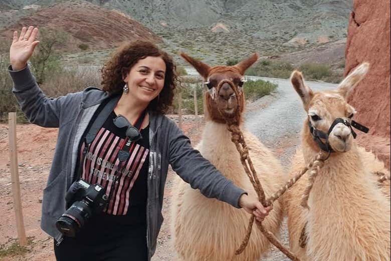Disfrutando de la ruta con las llamas