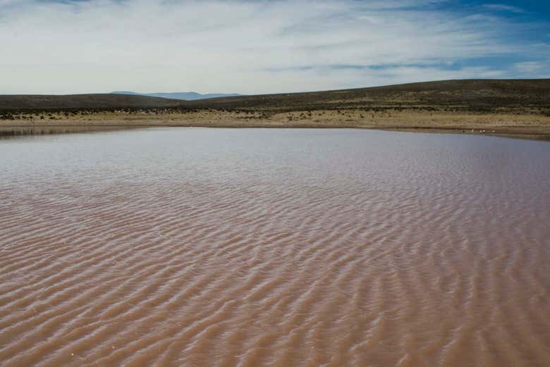 Paysage de la lagune Colorada