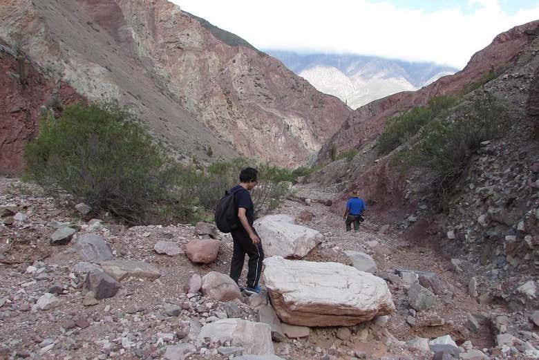 Recorriendo los caminos de Viltipoco
